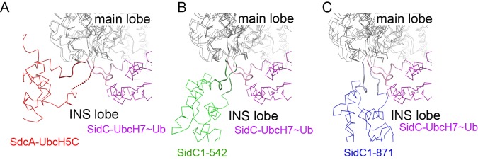 Figure 3—figure supplement 1.