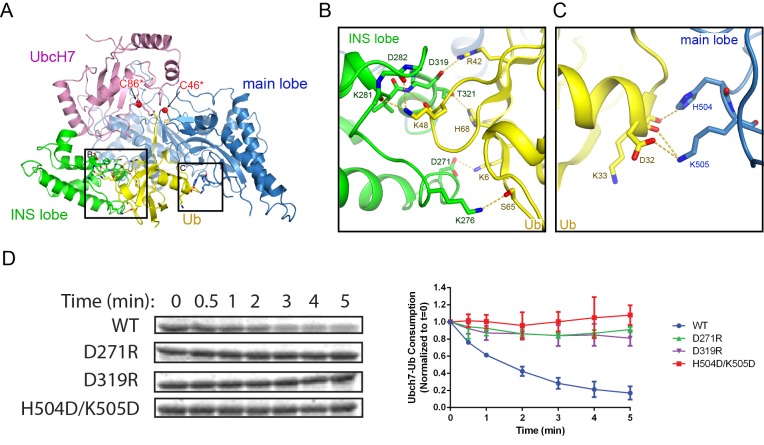 Figure 6.