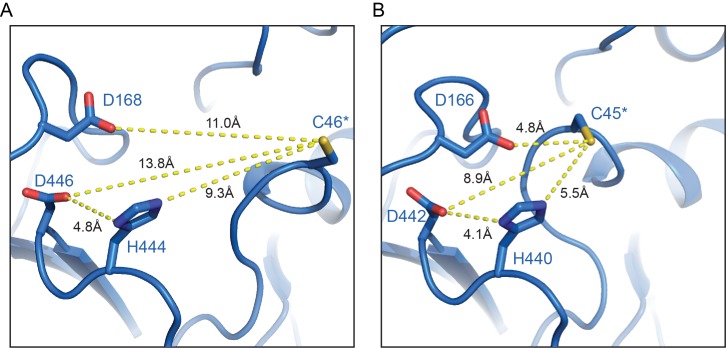 Figure 7—figure supplement 1.