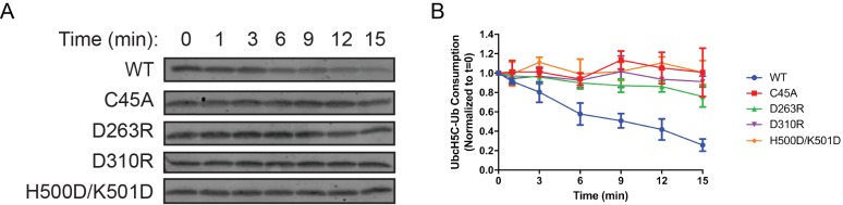 Figure 6—figure supplement 2.