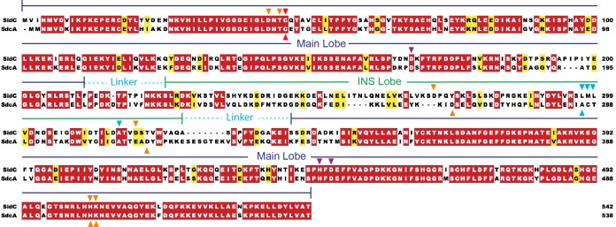 Figure 6—figure supplement 1.