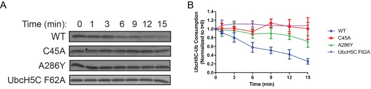 Figure 4—figure supplement 3.