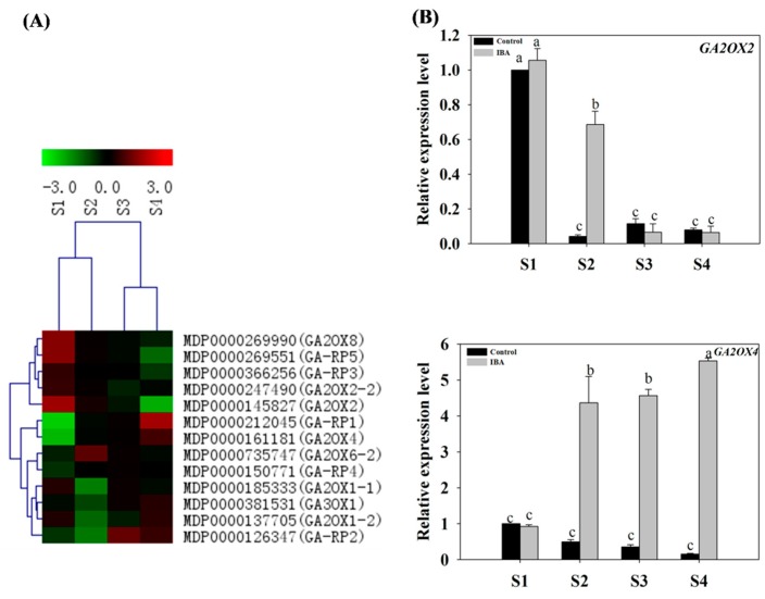 Figure 6