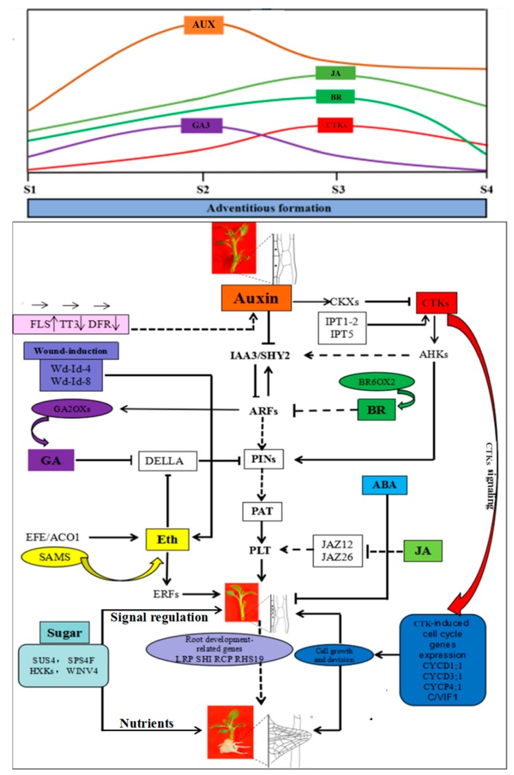 Figure 10