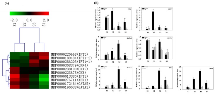 Figure 5