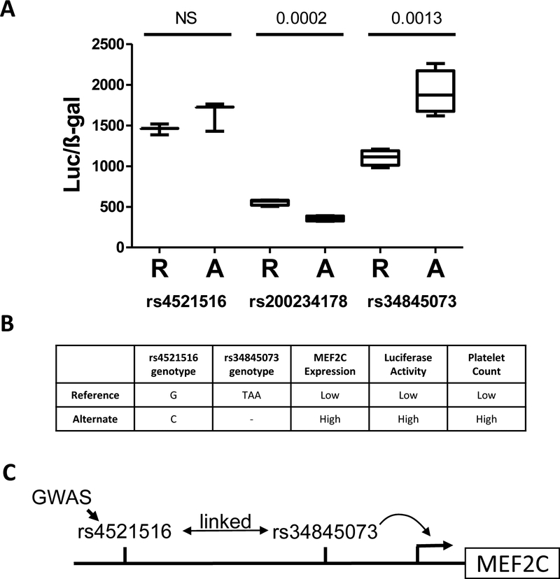 Fig 5.