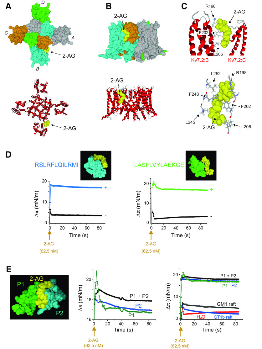 Figure 11.