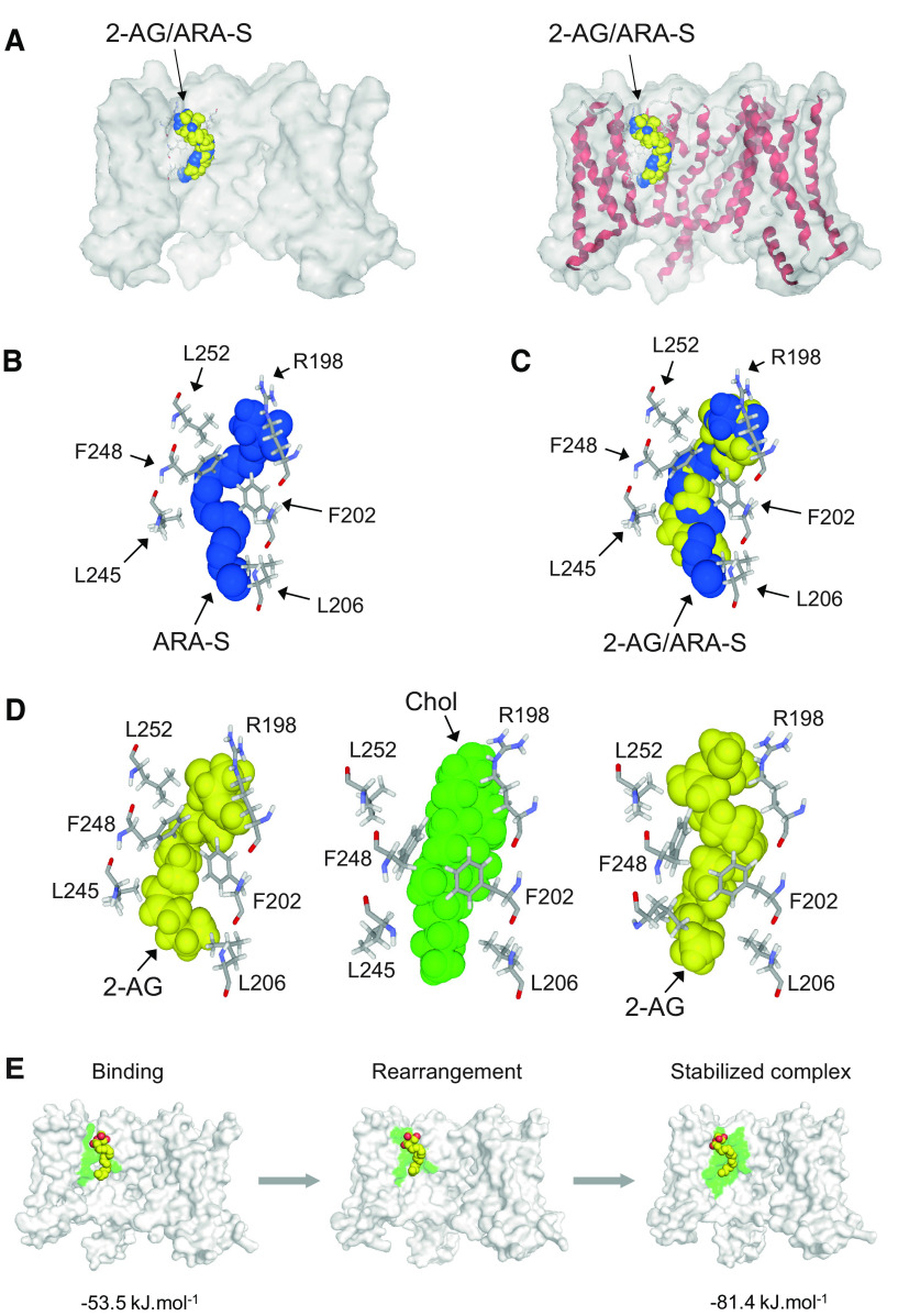 Figure 12.