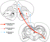 Figure 11: