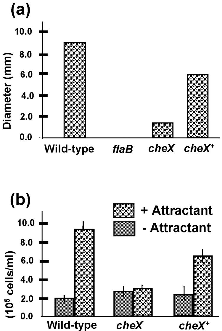 FIG. 3.