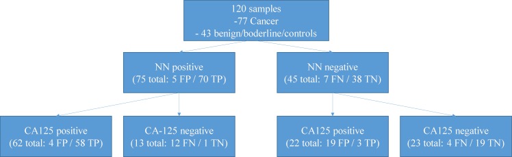 Figure 4—figure supplement 2.