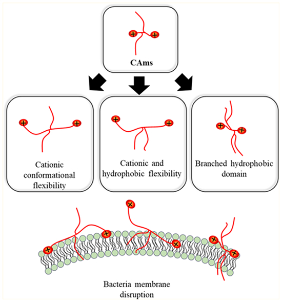 graphic file with name nihms-1057123-f0001.jpg