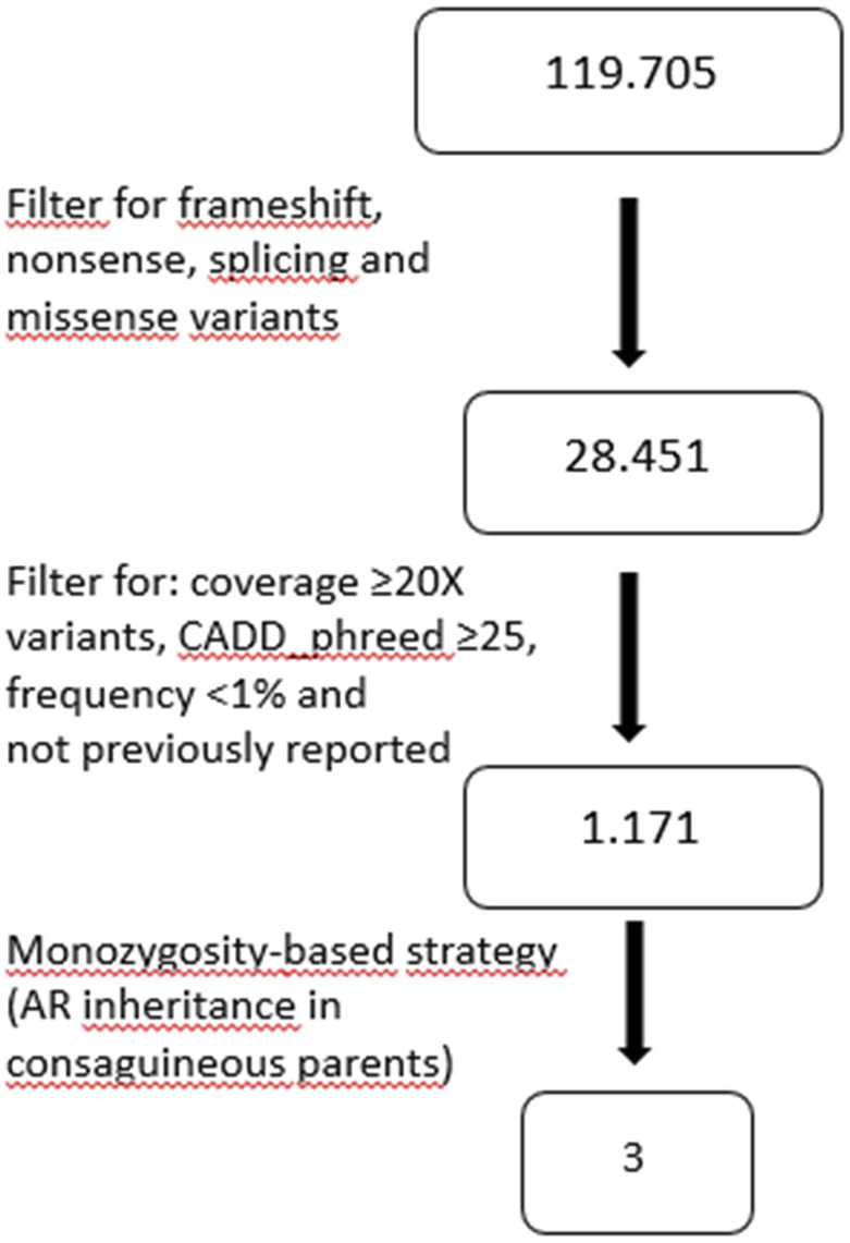 FIGURE 2