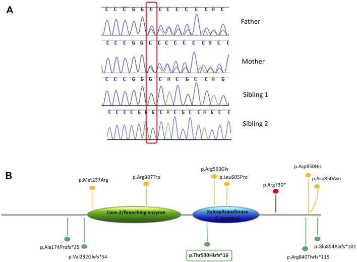 FIGURE 3