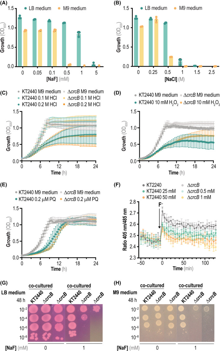 FIGURE 4