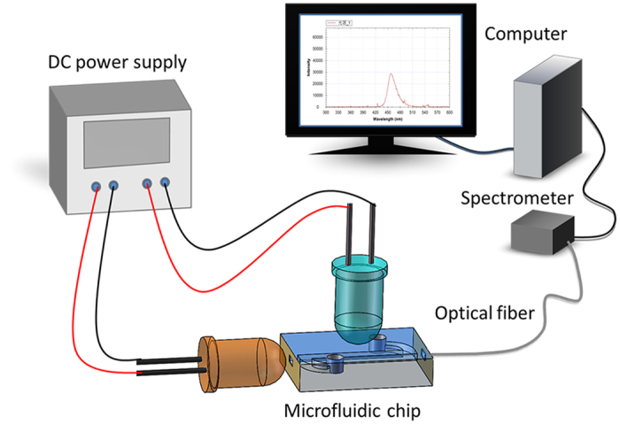 Figure 10