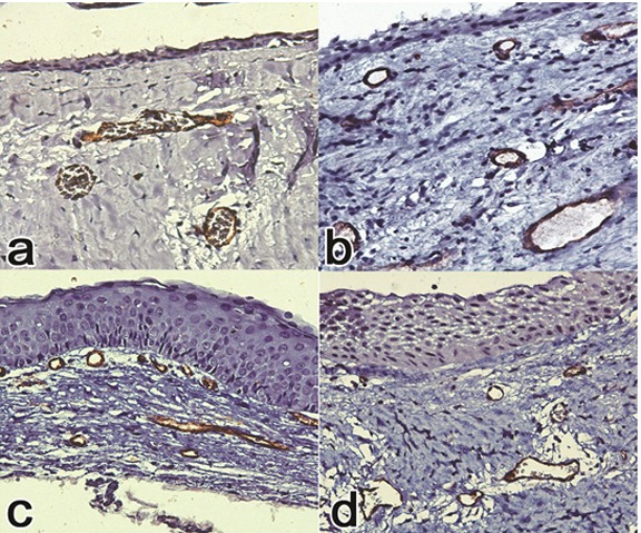 Figure1