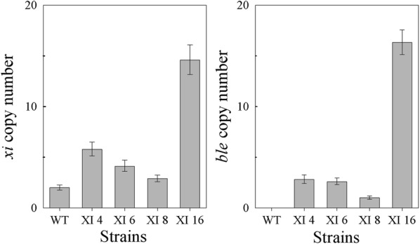 Fig. 3