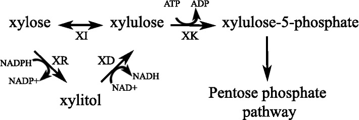 Fig. 1