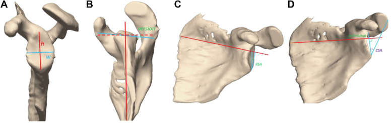 Figure 3