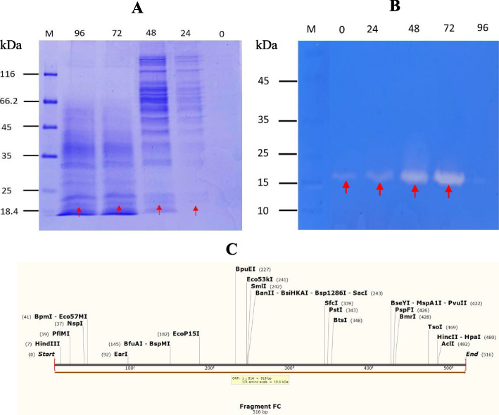 Fig. 8