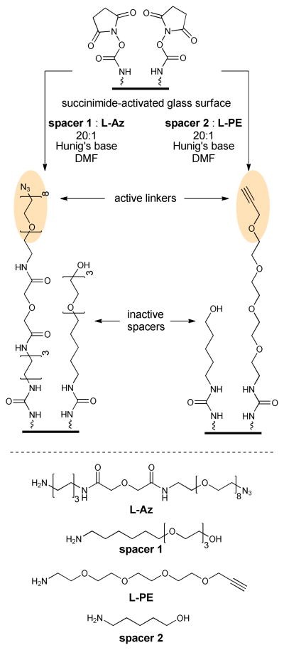 Scheme 3