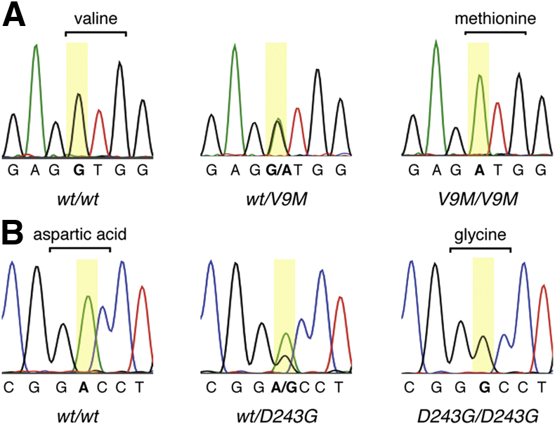 Figure 1