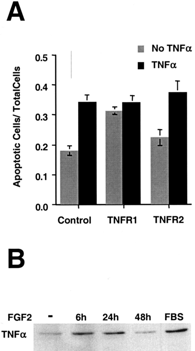 Fig. 10.