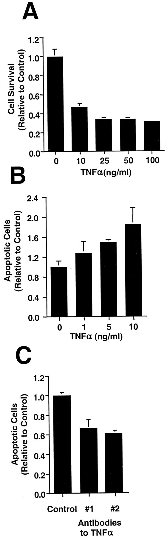 Fig. 9.