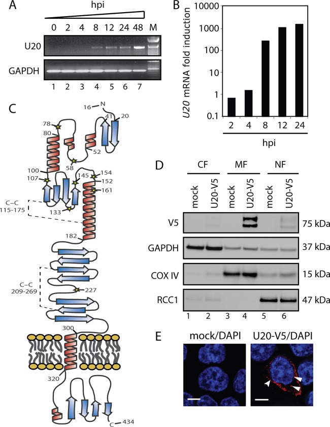 Fig 4