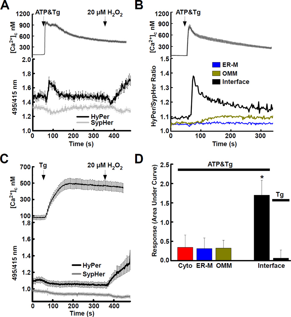 Fig. 2