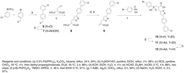 Scheme 1