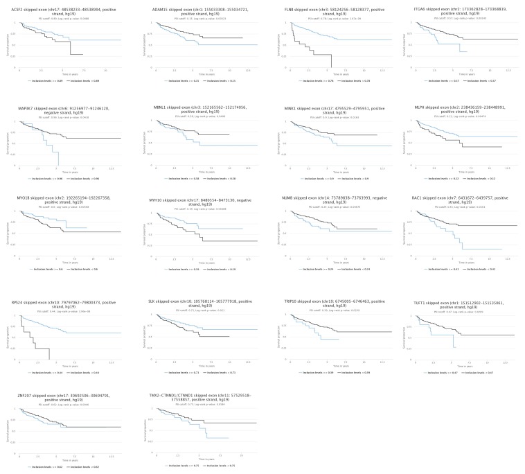 Figure 5—figure supplement 1.