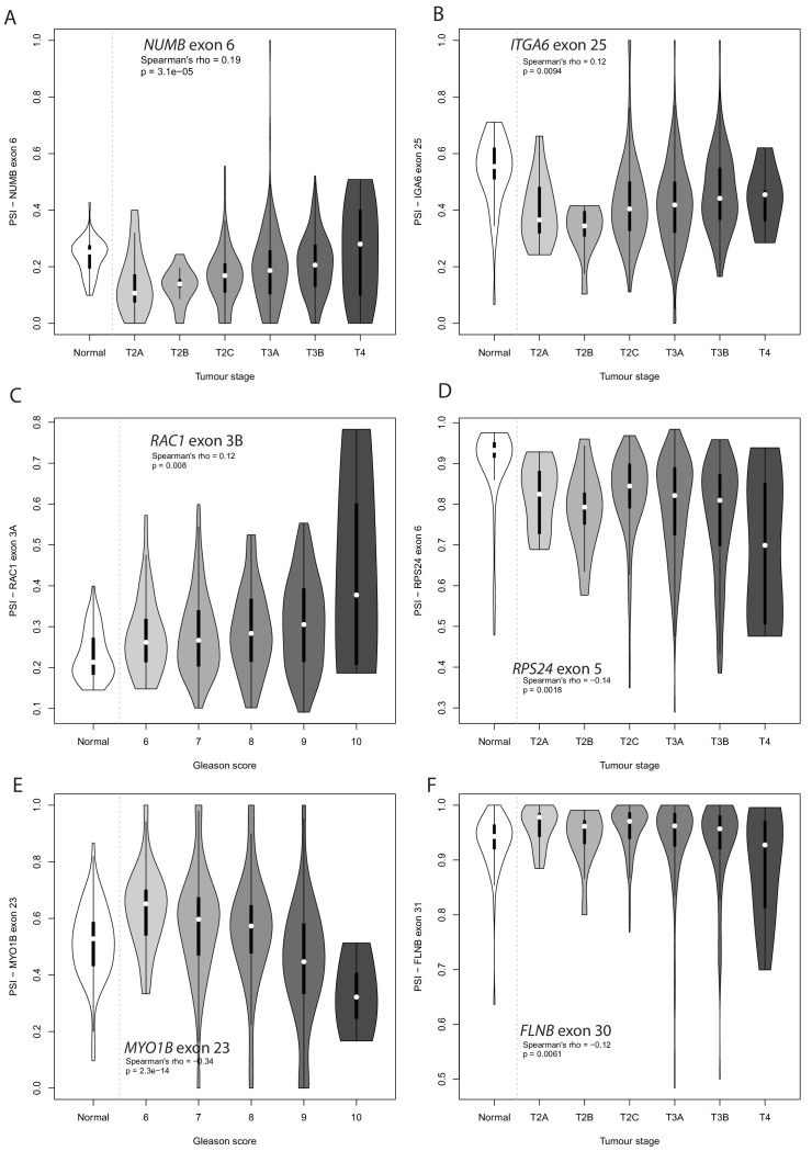 Figure 5—figure supplement 2.