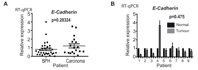 Figure 2—figure supplement 1.