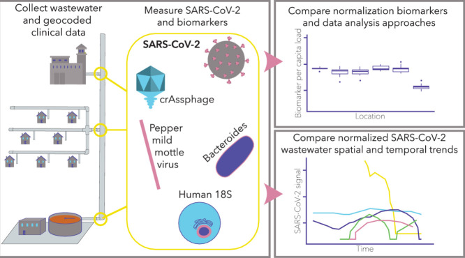 Image, graphical abstract