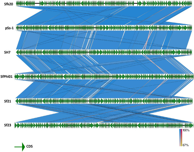 Figure 7