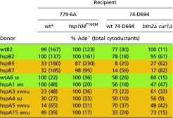 graphic file with name pnas.1704016114st03.jpg