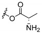 graphic file with name molecules-24-00314-i073.jpg