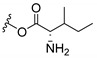 graphic file with name molecules-24-00314-i076.jpg