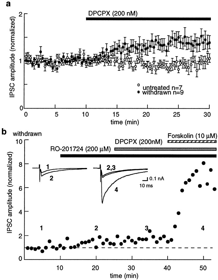 Fig. 6.