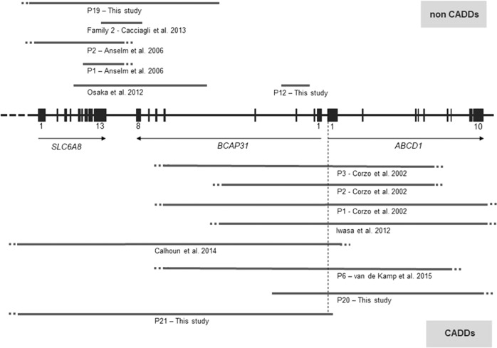 Fig. 2