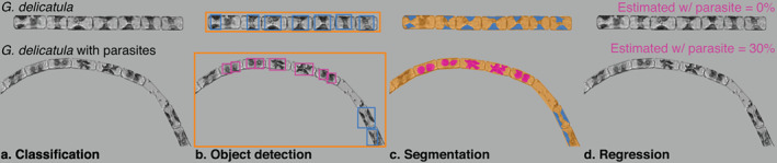 Fig. 5