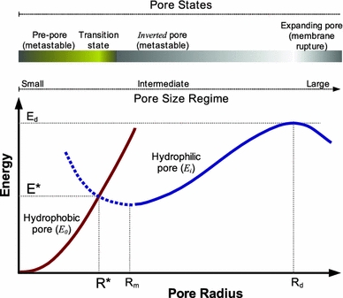 Fig. 3