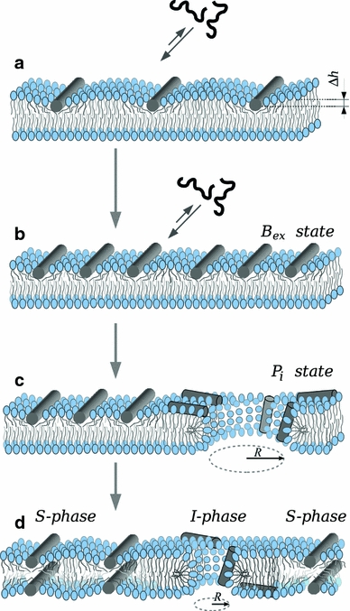 Fig. 7