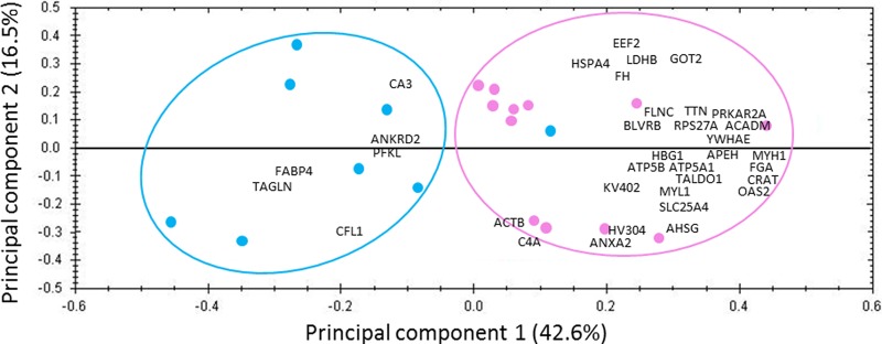 Fig. 3.