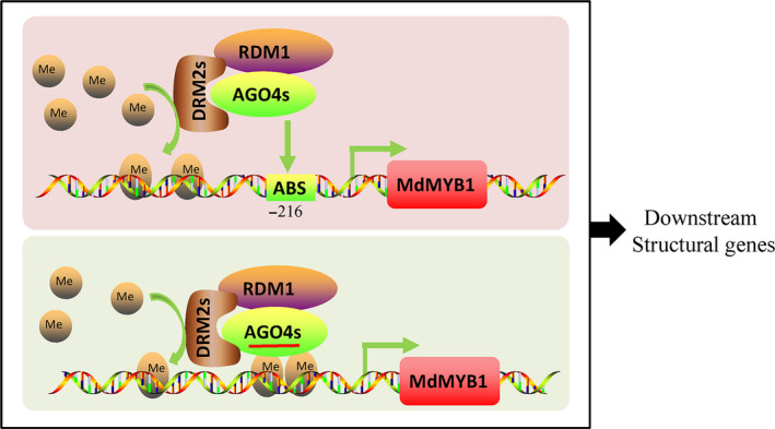 Figure 7