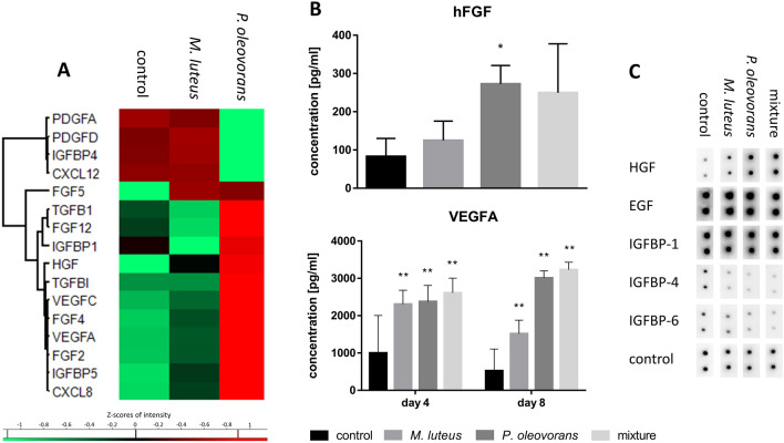 Fig. 4