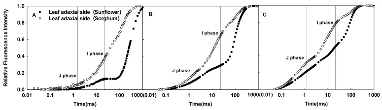 Figure 8