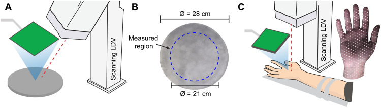 Fig. 5.